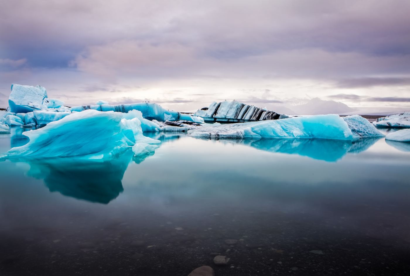 Blue Ice shown in a living room
