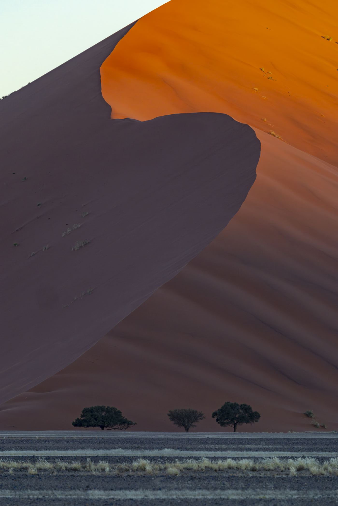 Dune Touched by Light