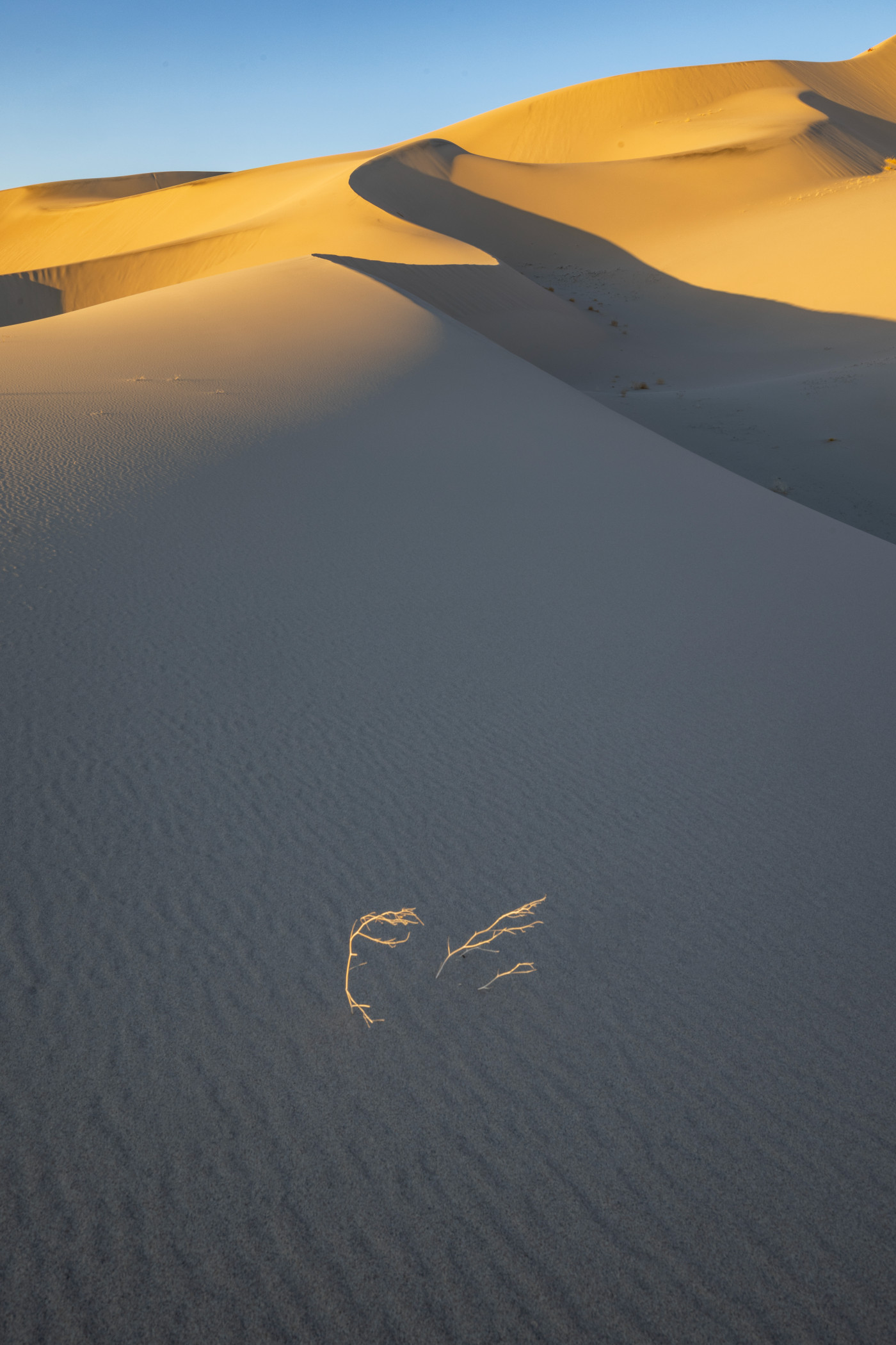 Last Light Dunes shown in a living room