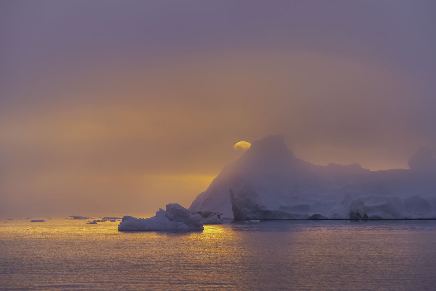 Midnight Sun Peek-a-Boo shown in a living room