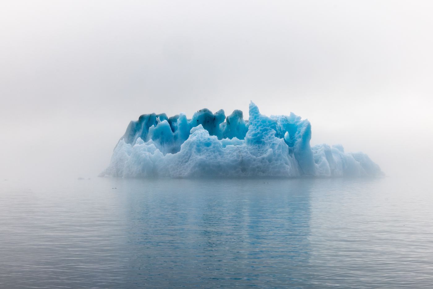 Out of the Mist