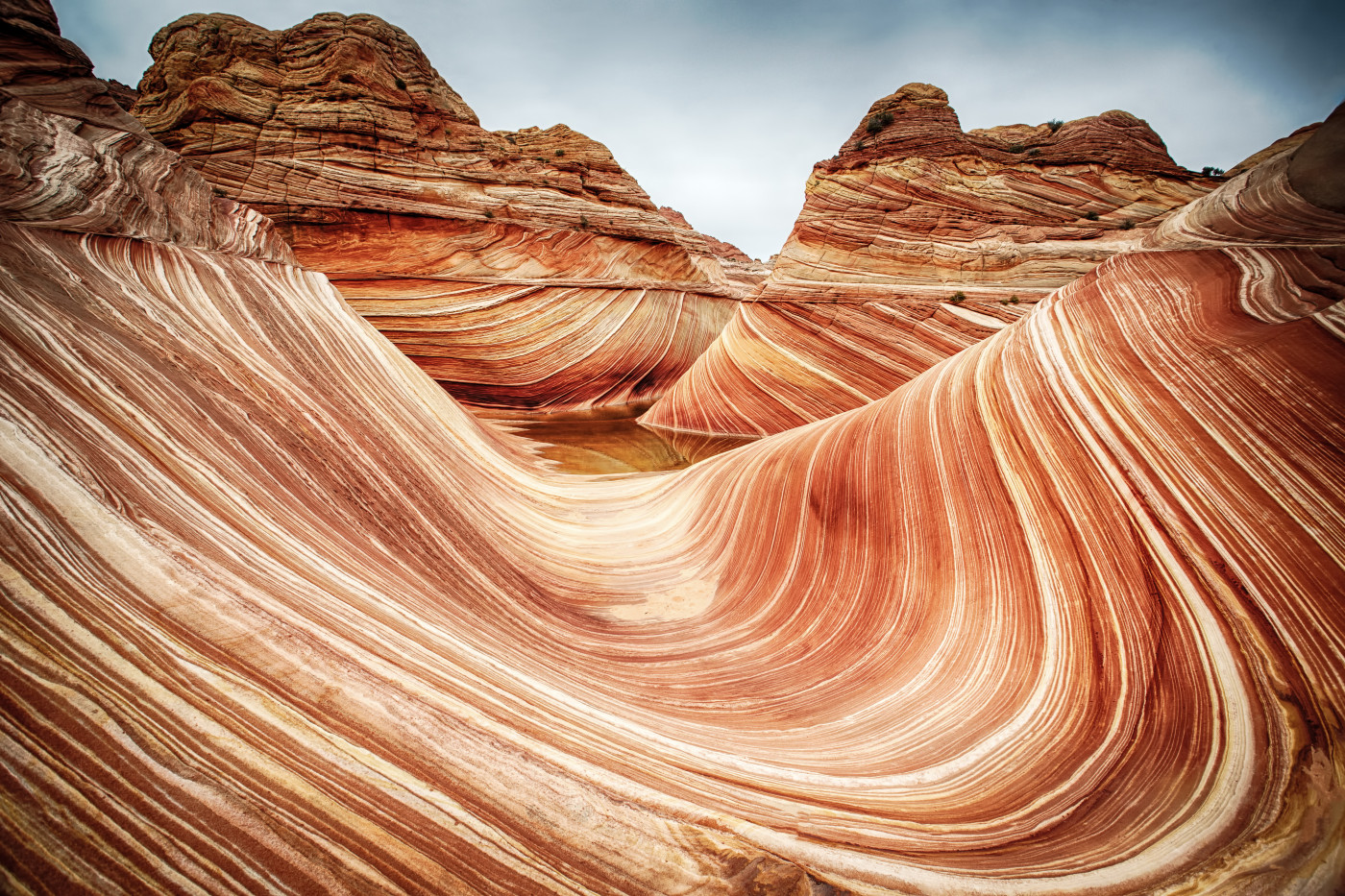The Wave shown in a living room
