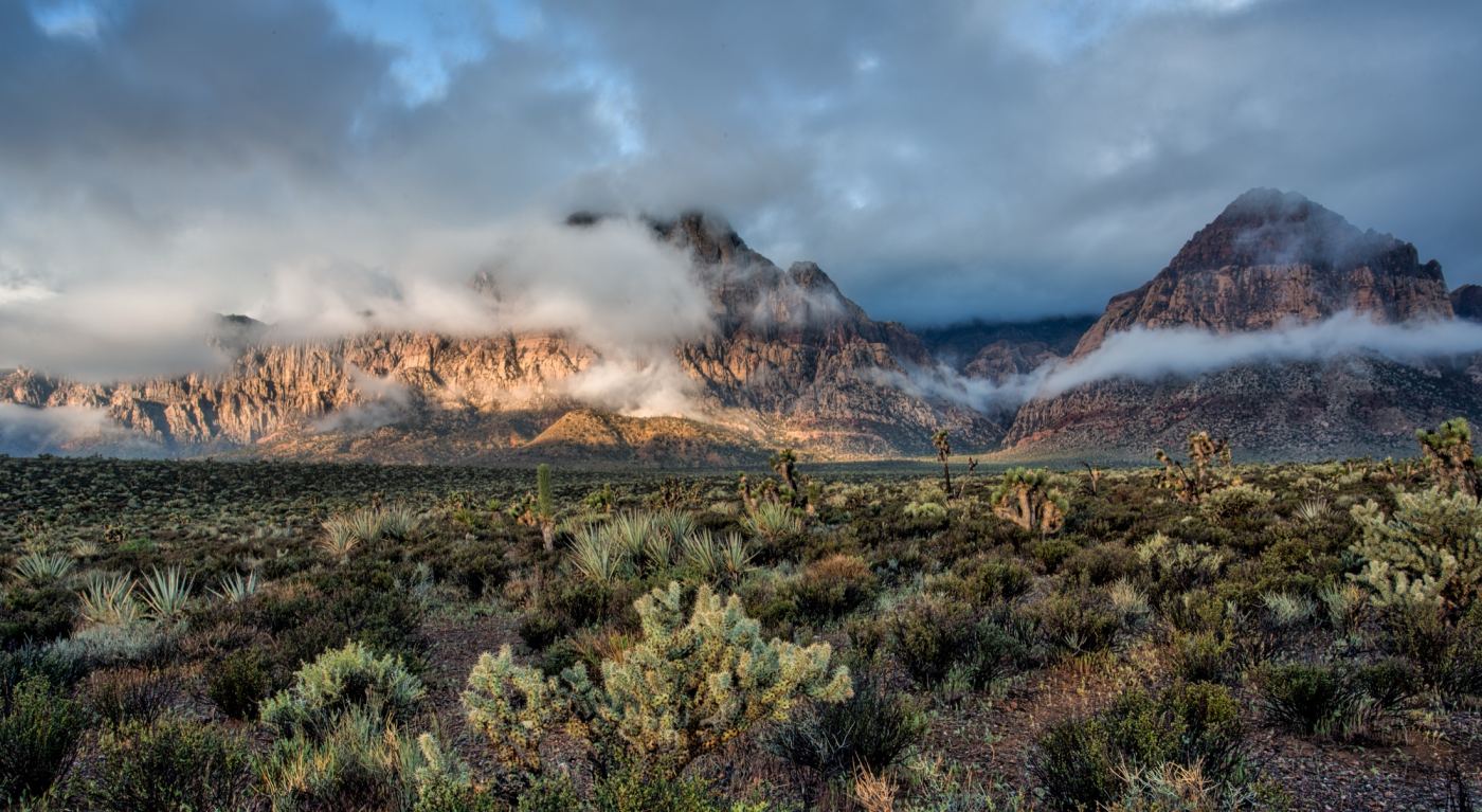 Red Rock in the Mist