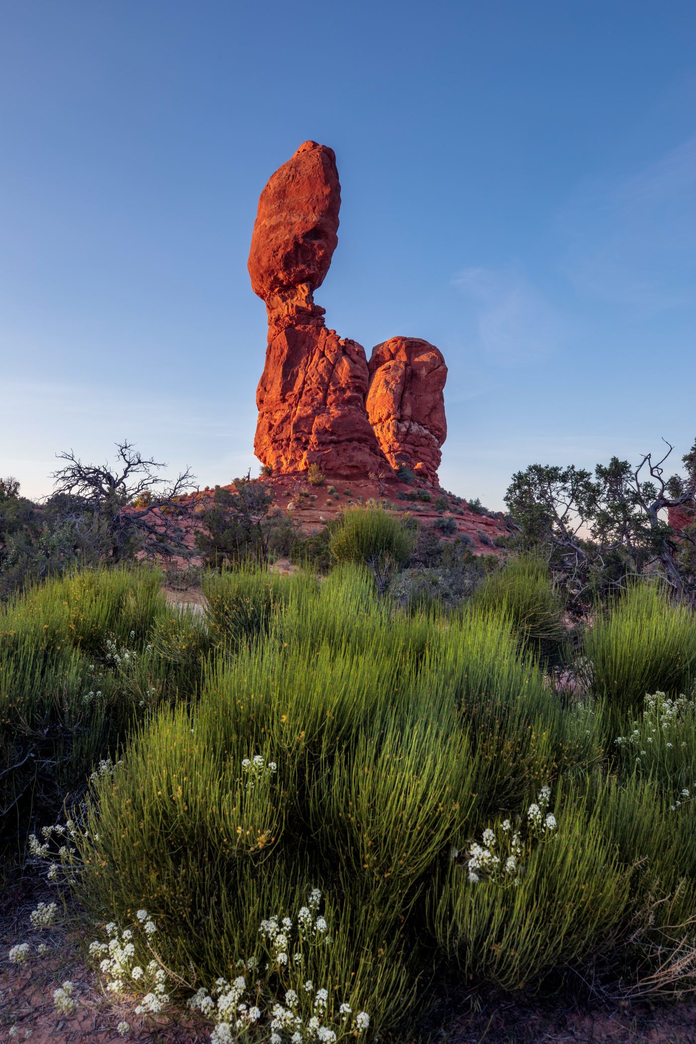 Spring at Balance Rock shown in a living room