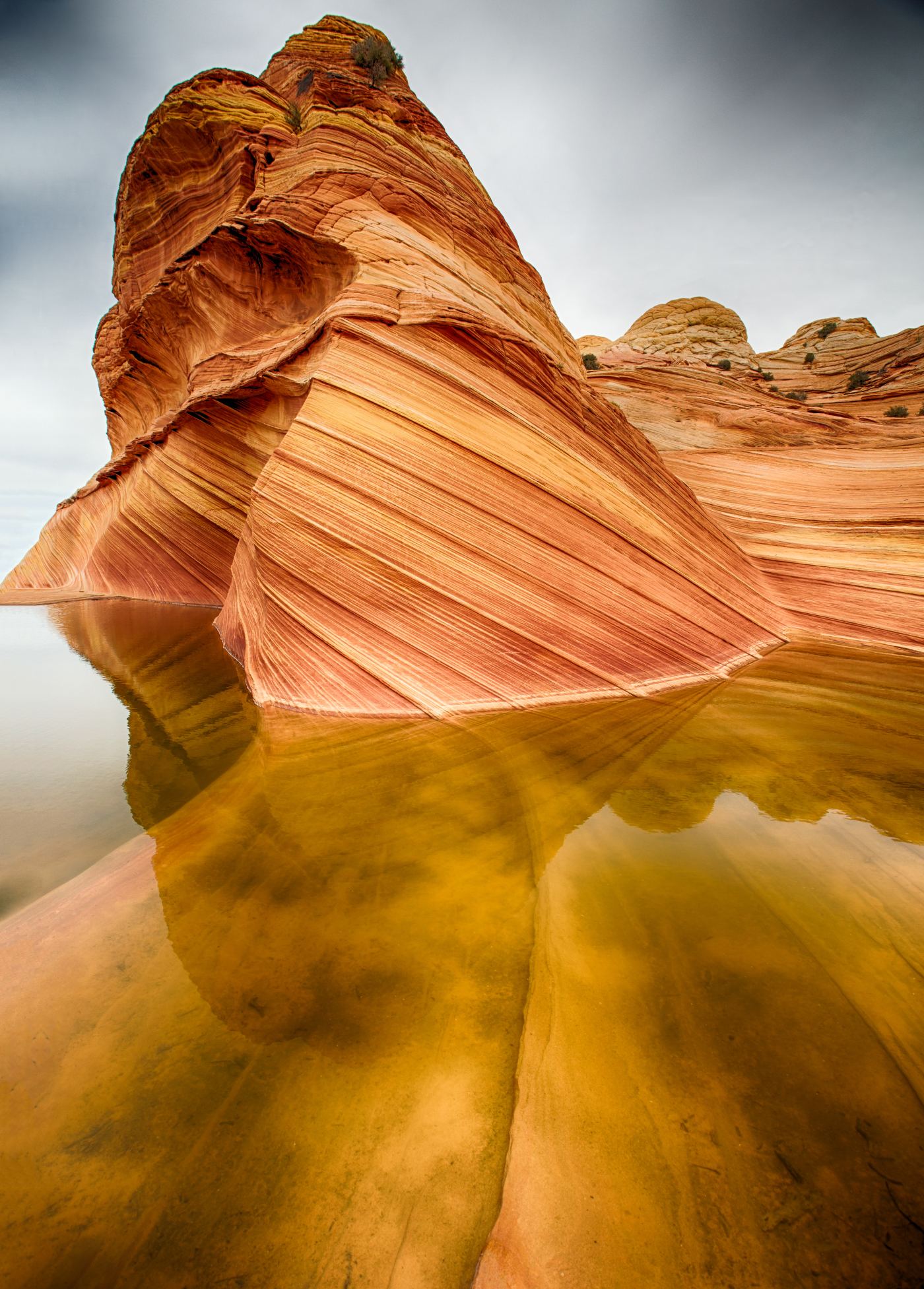 Wave Reflections shown in a living room