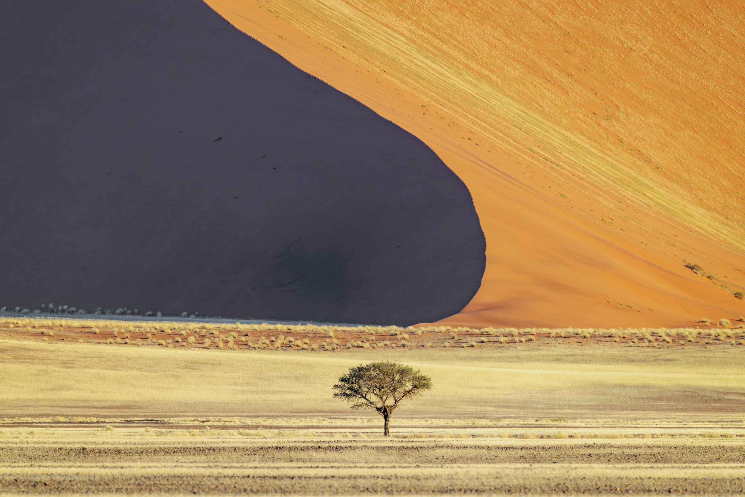 Impending Dune