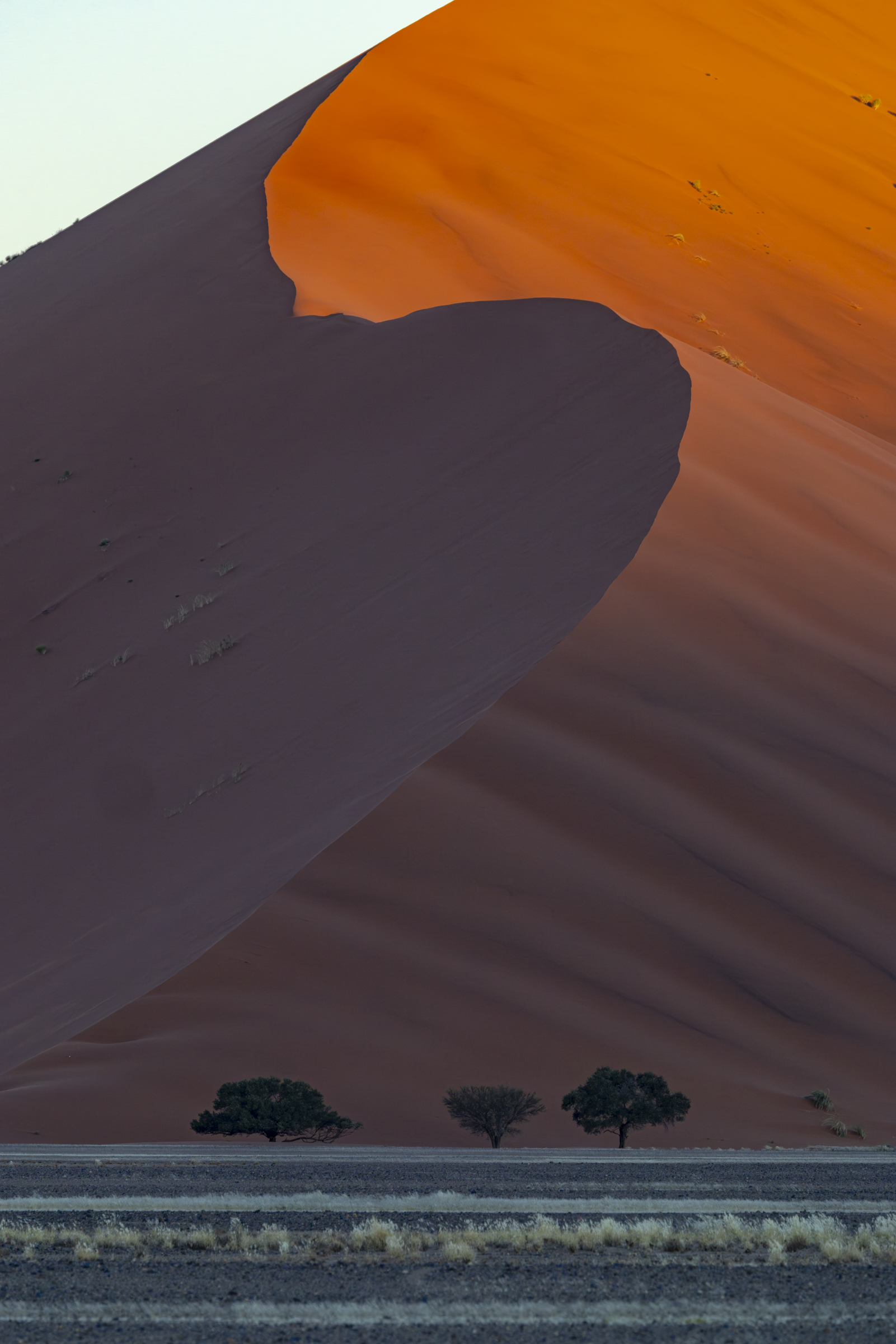 Dune Touched by Light
