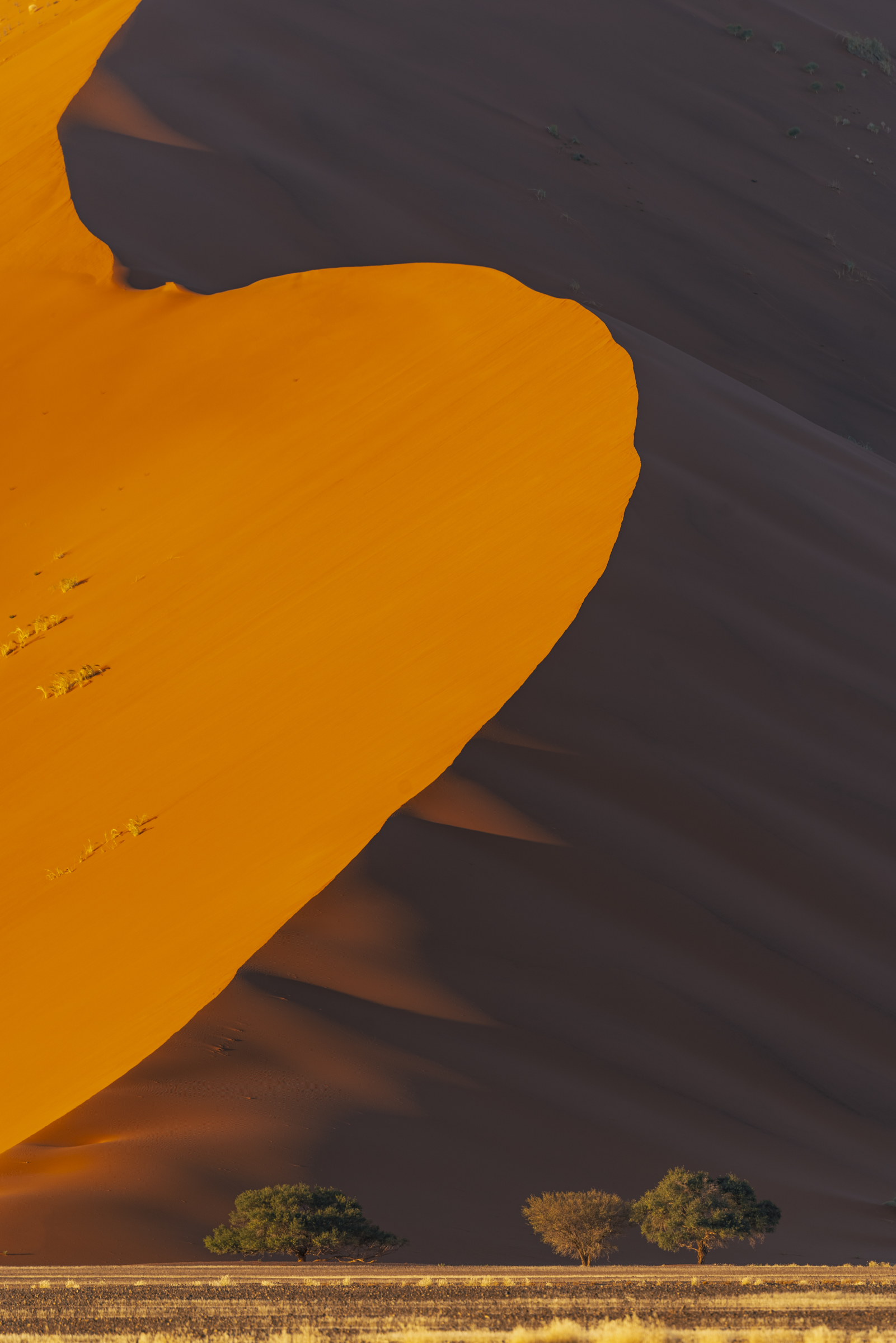 Dune Slide