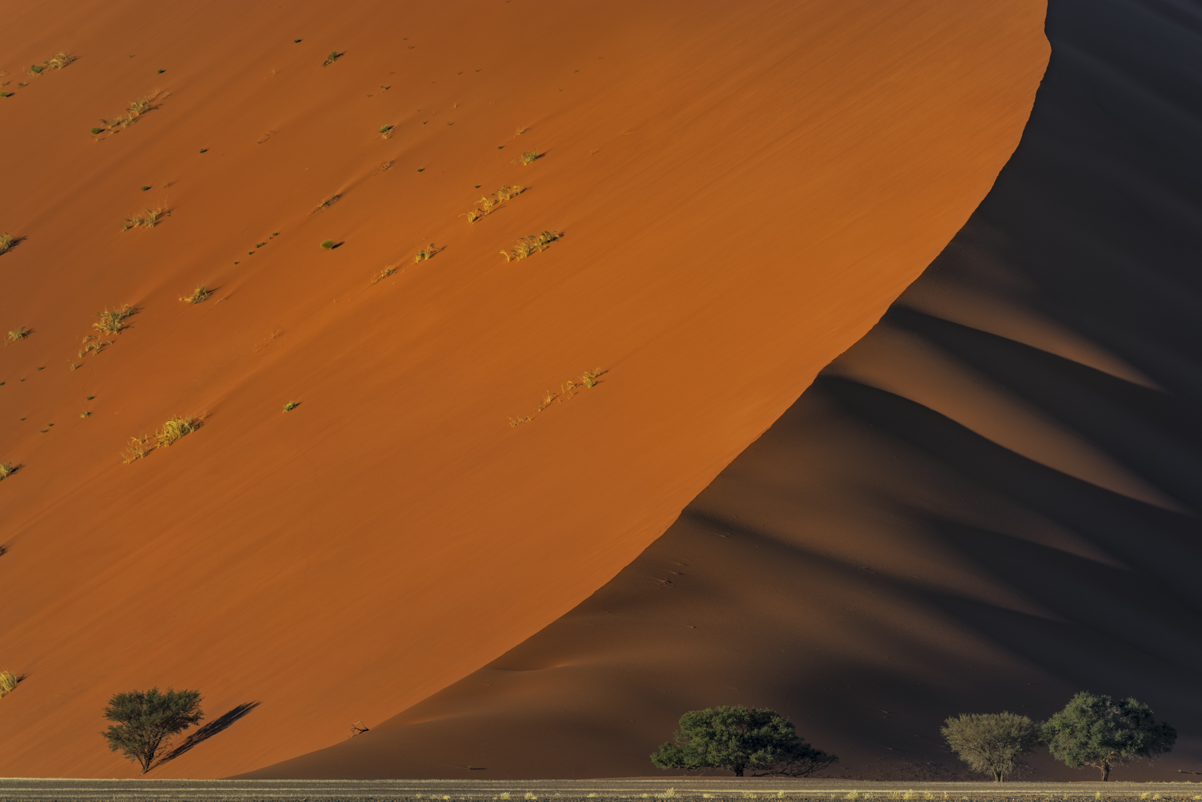 Red Curve