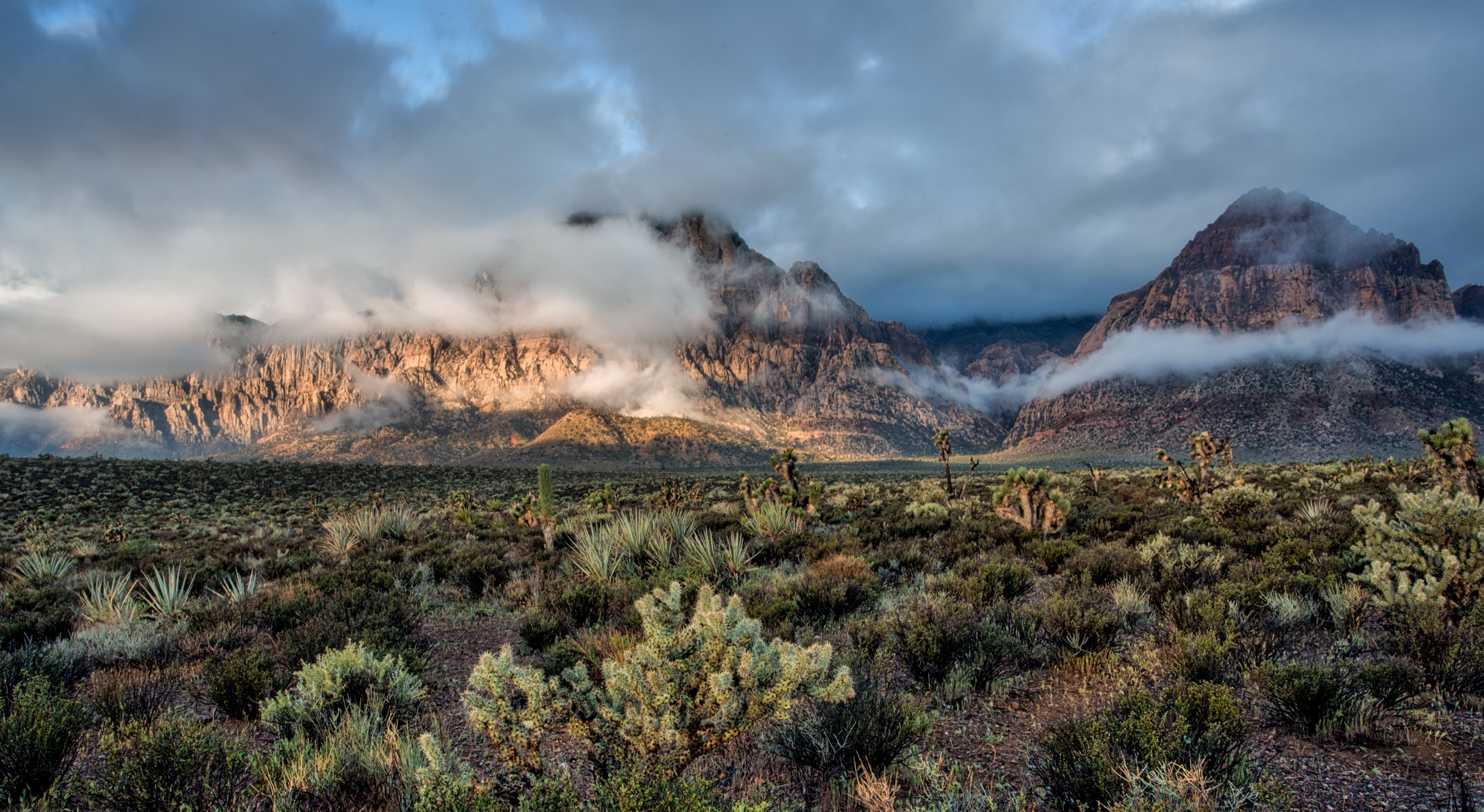Red Rock in the Mist